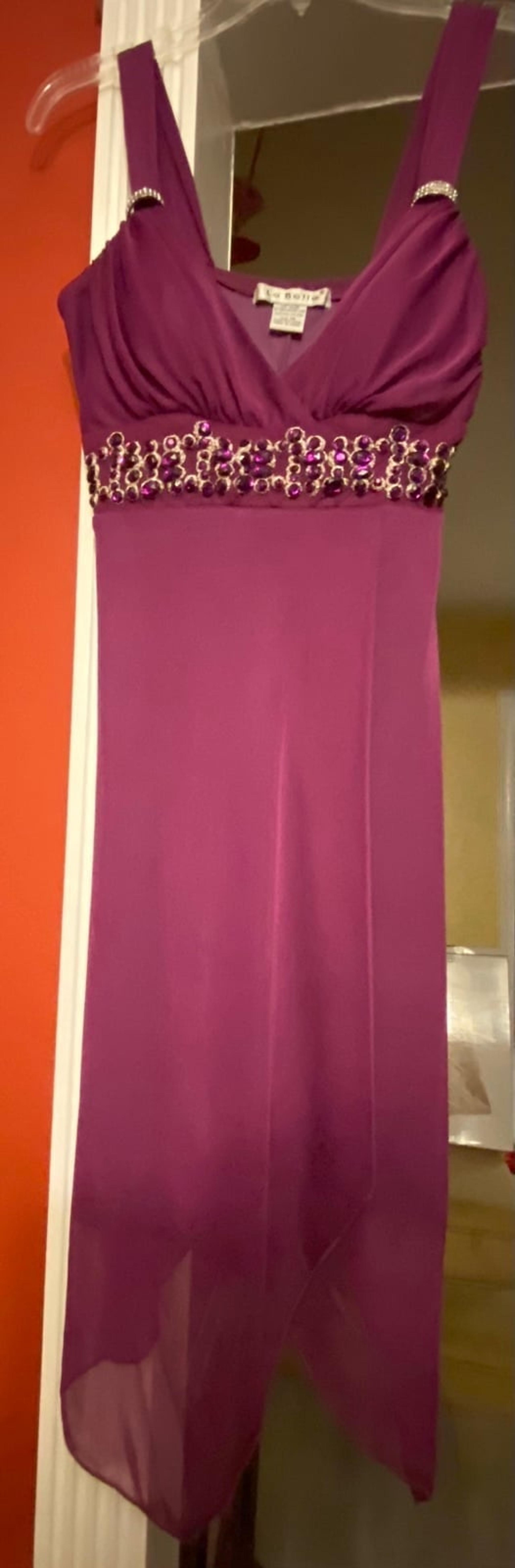 Stretchy purple La Belle dress