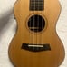 Ellen Concert Electric Ukulele with Tuner