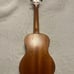 Ellen Concert Electric Ukulele with Tuner