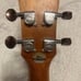 Ellen Concert Electric Ukulele with Tuner
