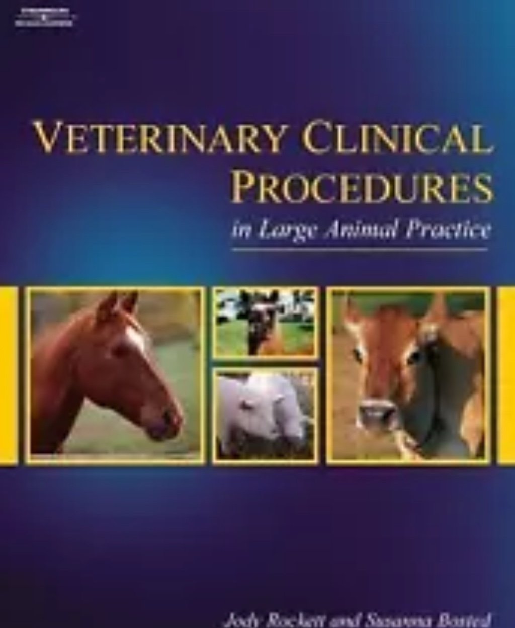 CLINICALPROCEDURES in Large Animul Practice book