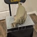 Steve Madden Logo Belt Bag - Olive