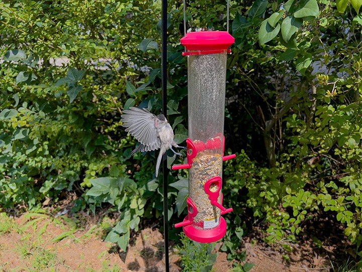 Kingsyard 2 Pack Tube Bird Feeders for Outdoors Hanging, Premium Hard Plastic Bi