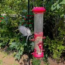 Kingsyard 2 Pack Tube Bird Feeders for Outdoors Hanging, Premium Hard Plastic Bi