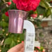 Bath & body works Wallflower pink plug BBW wallflower plug