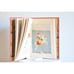 Vintage Illustrated Children's Tales Told in Holland - Classic Literature