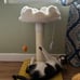 Pets Cloud Cat Scratching Post with Bed, Cat Tree Tower for Indoor Cats, Natural