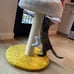 Pets Cloud Cat Scratching Post with Bed, Cat Tree Tower for Indoor Cats, Natural