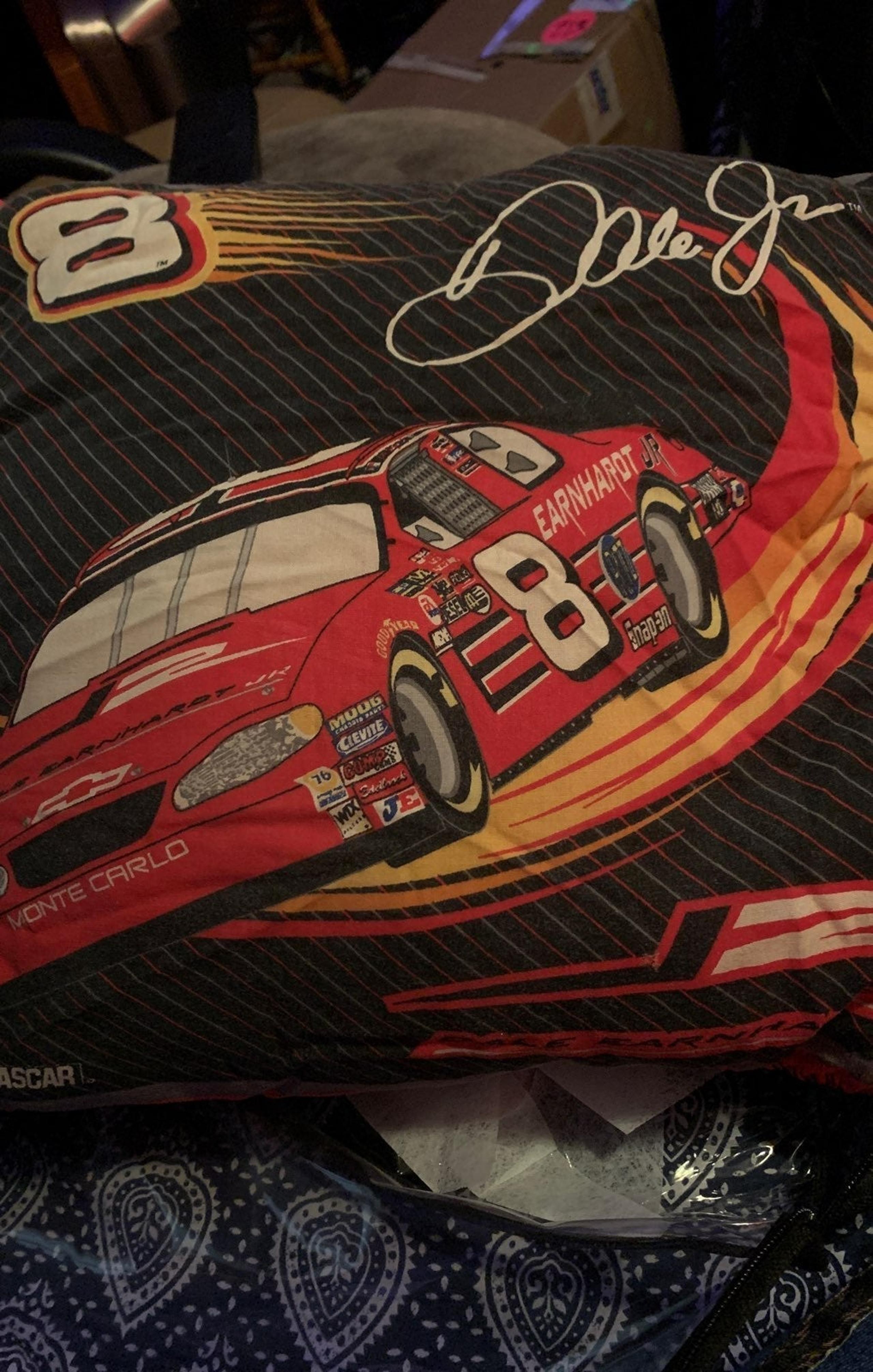 dale earnhart jr pillow