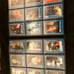 Terminator & Robocop Card Collection