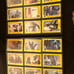 Terminator & Robocop Card Collection