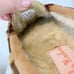Gabriella Rocha Tan Suede Lined Beaded Moccasins