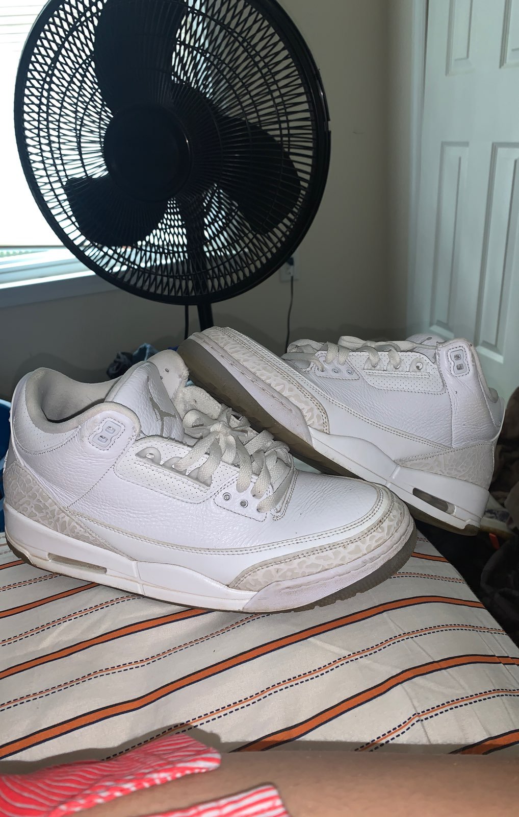 Retro Jordan 3s