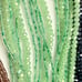 1380 Beads Fire Polish Glass Beads 4mm