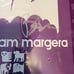 Bam margera skateboard deck, signed
