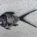 Mid century modern mixed metal fish