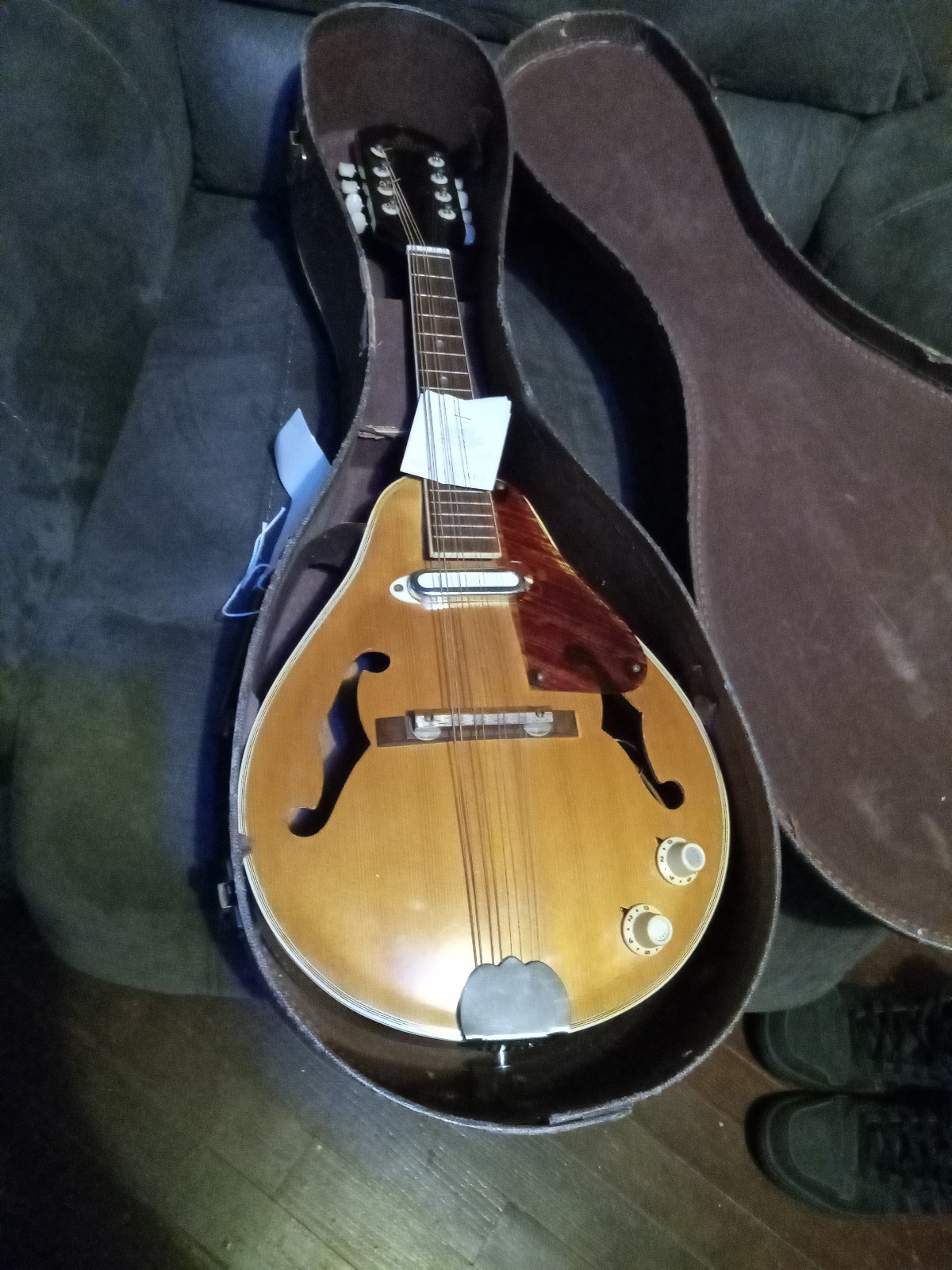 mandolin instrument