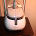 SALVA Professional Garment Steamer