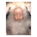 VTG Wondertreats Baby Bunny White Rabbit Plush Doll Porcelain Face Jointed 15”