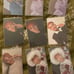 hongjoong complete photocard set