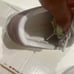 Alexander McQueen sneakers for kids