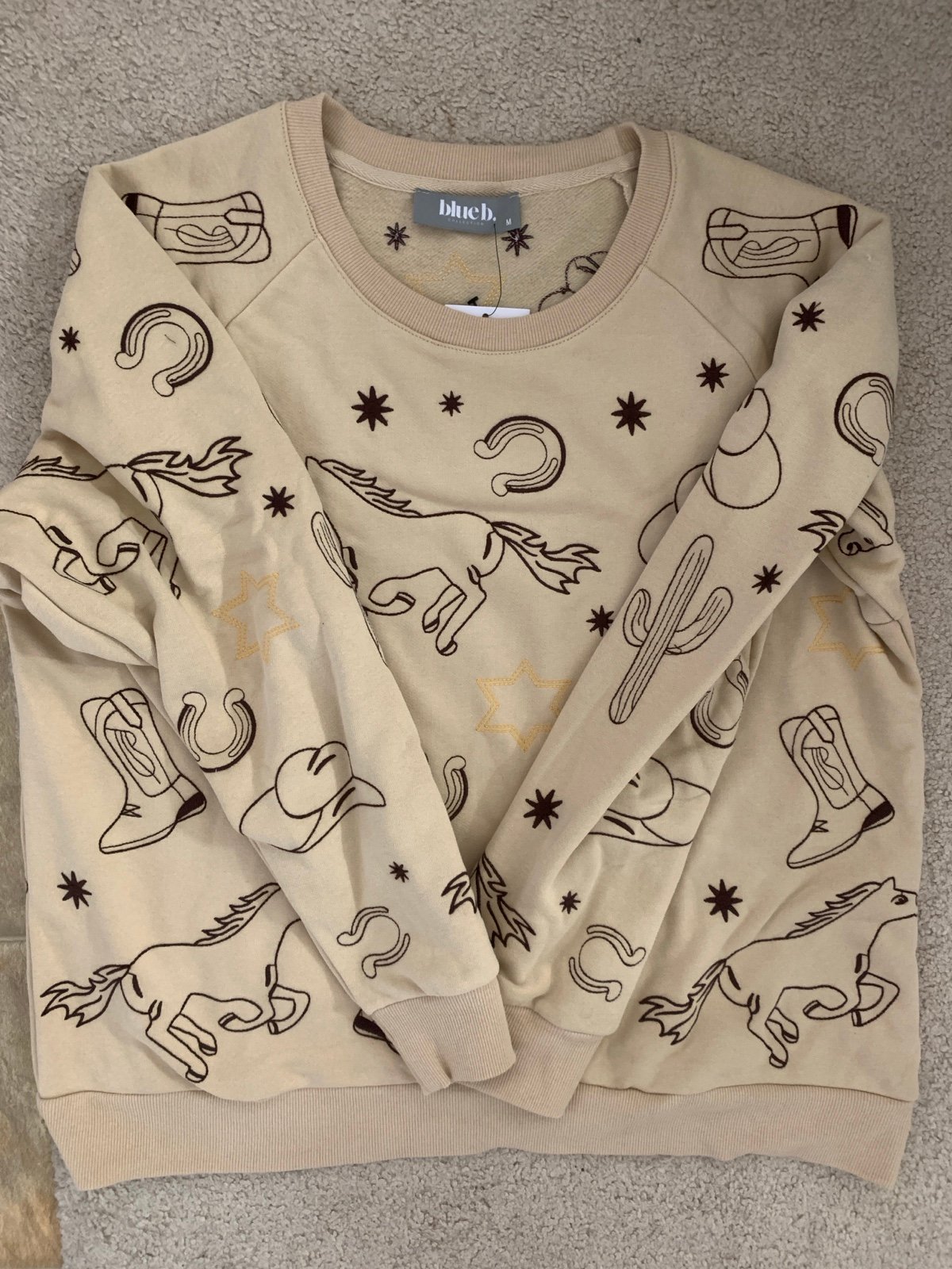 Western Embroidered Pullover Sweatshirt