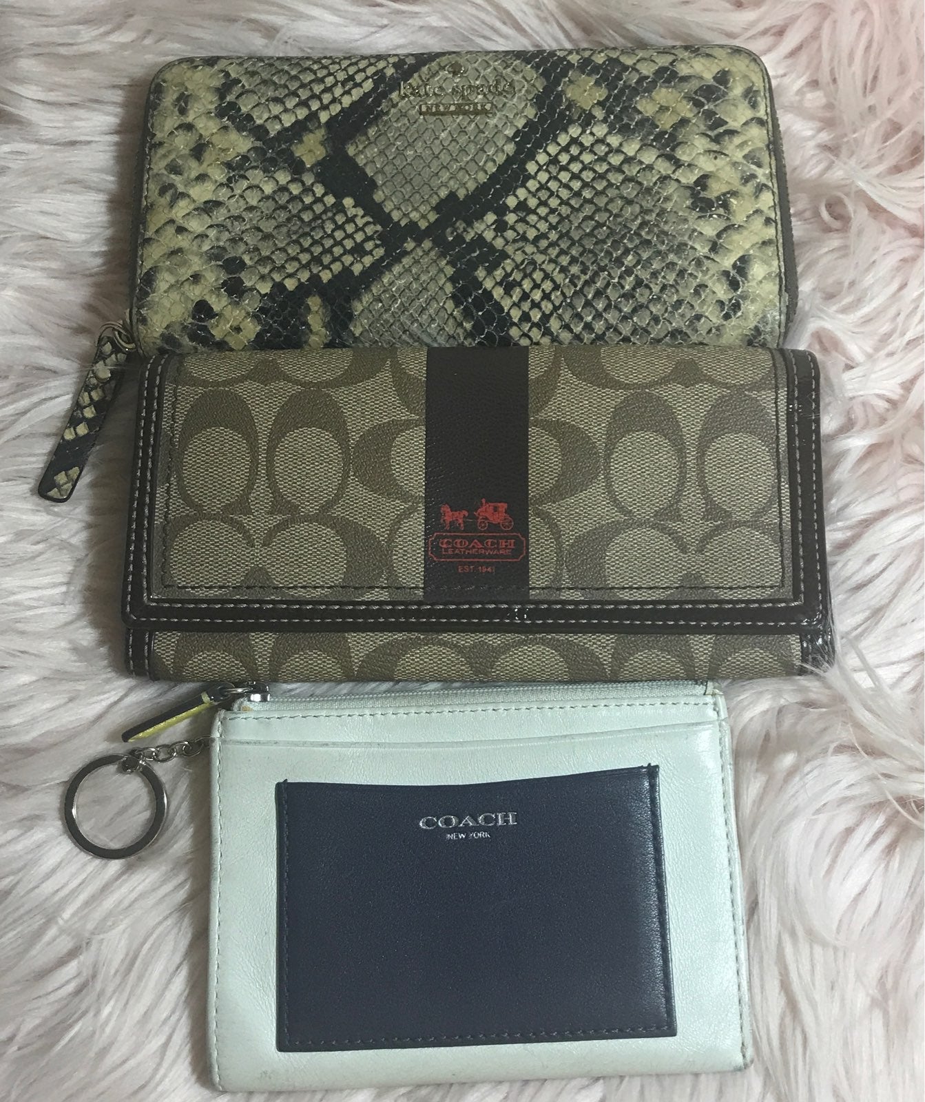 Bundle Wallet of Kate Spade/ Coach and Card Holder
