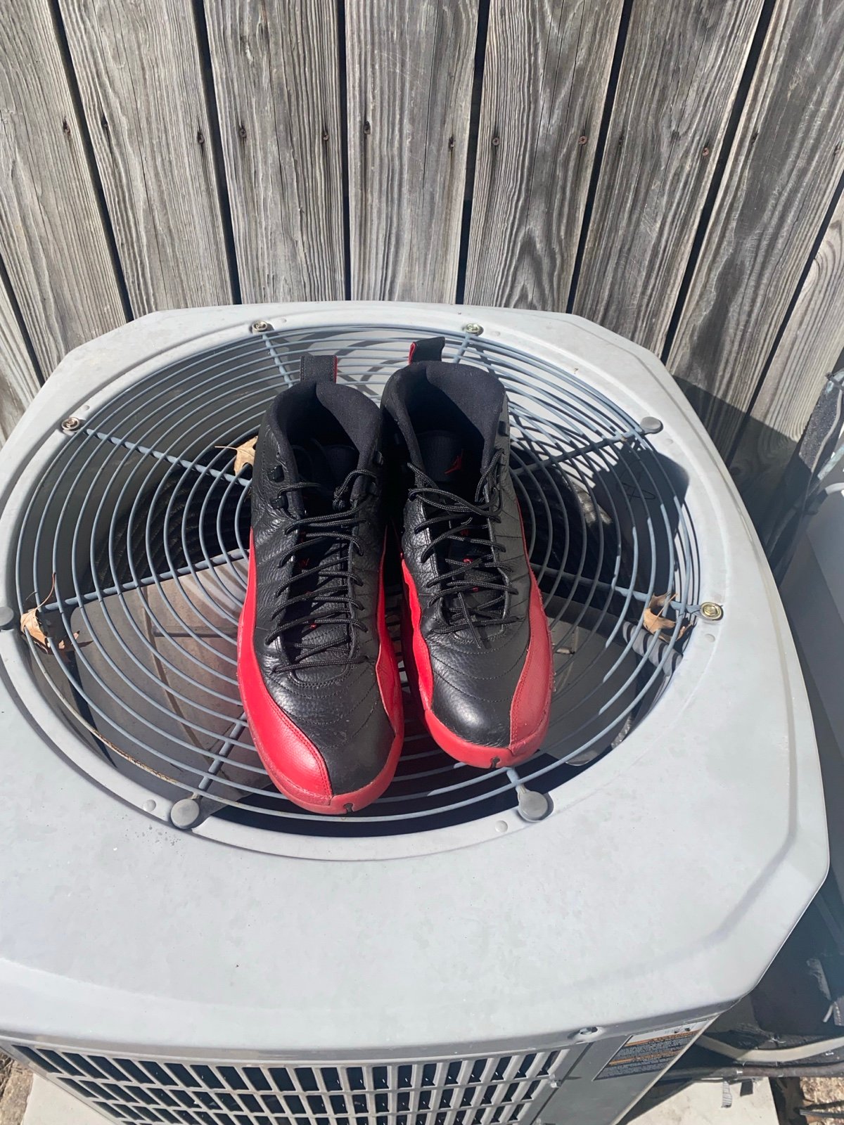 Jordan 12 flu games