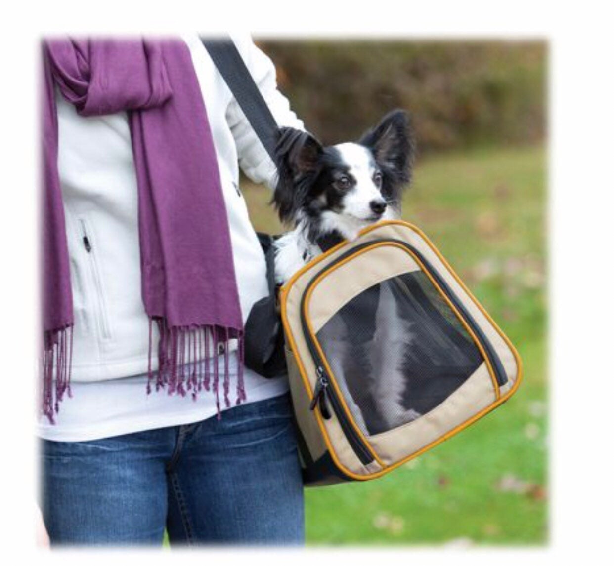 dog and cat carrier KURGO / Airline app
