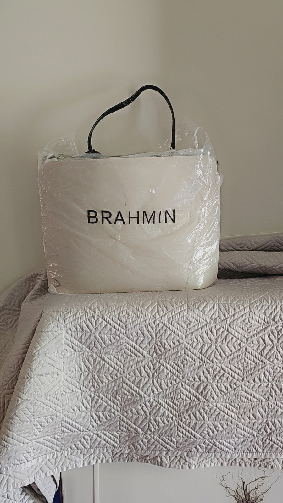 Brahmin vintage dust cover
