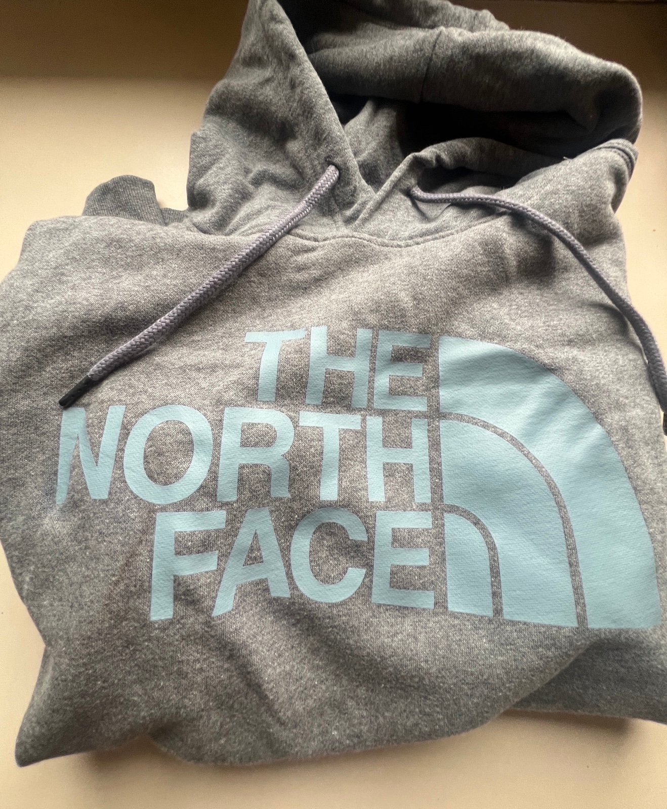 THE NORTH FACE Men's Half Dome Pullover Hoodie