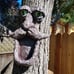 Tree Face Wild Bird Feeders Tree Decors, Old Man Tree Face Tree Hugger Yard Art