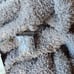 Barefoot Dreams Cozychic Long Robe Unisex Dove Grey Size 2