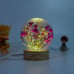 Babys Breath Flower in Glass Night Lamp, Gypsophila Paniculata lamp, Unique Gift