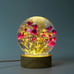 Babys Breath Flower in Glass Night Lamp, Gypsophila Paniculata lamp, Unique Gift