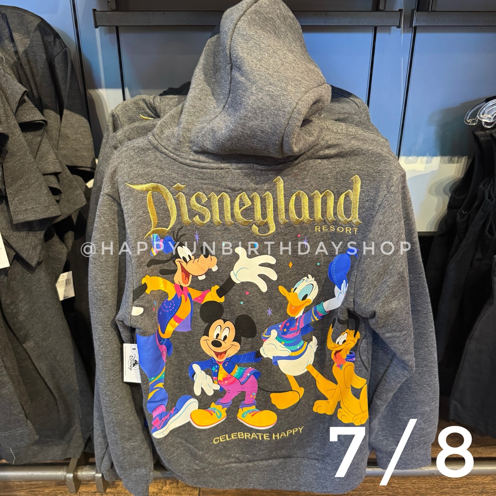 Disney Parks Disneyland 70th Anniversary Celebration Grey Zip Up Hoodie 7/8