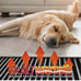 Quiet Warmth 1.5 ft x 5 ft - 240Volt Radiant Floor Heating System for Floors NIB