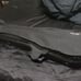 Full size violin