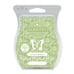 Scentsy SUNBURST BAMBOO Scented Wax Bar 6 Pack New