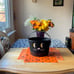 COACH TRICK OR TREAT CAT BUCKET