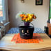COACH TRICK OR TREAT CAT BUCKET