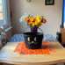 COACH TRICK OR TREAT CAT BUCKET