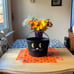 COACH TRICK OR TREAT CAT BUCKET