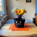 COACH TRICK OR TREAT CAT BUCKET