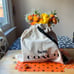 COACH TRICK OR TREAT CAT BUCKET