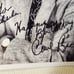 Carl Reiner- signed 8x10 autographed Photo -W/ COA