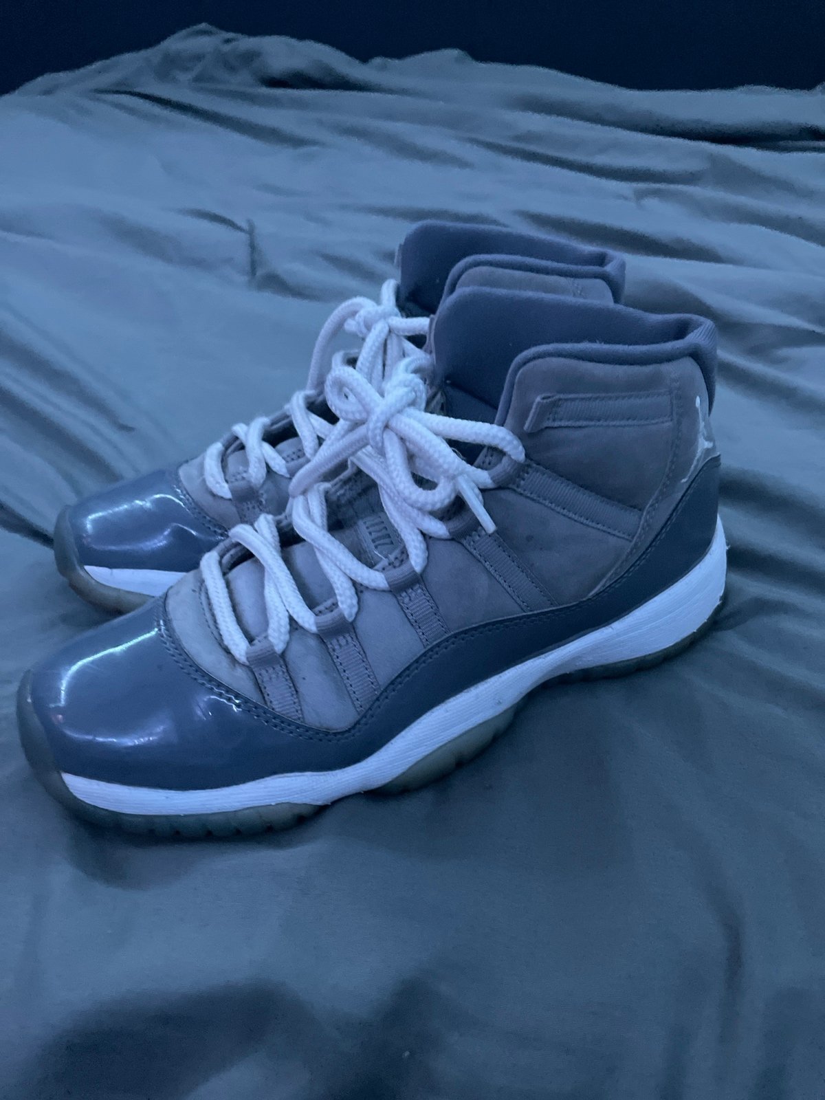 Jordan 11 cool grays
