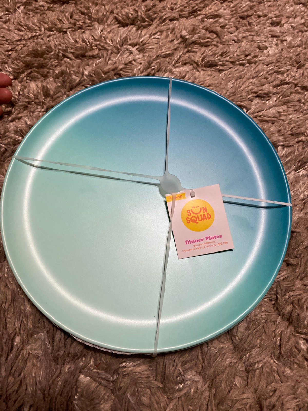 (4) pc dinner Plates