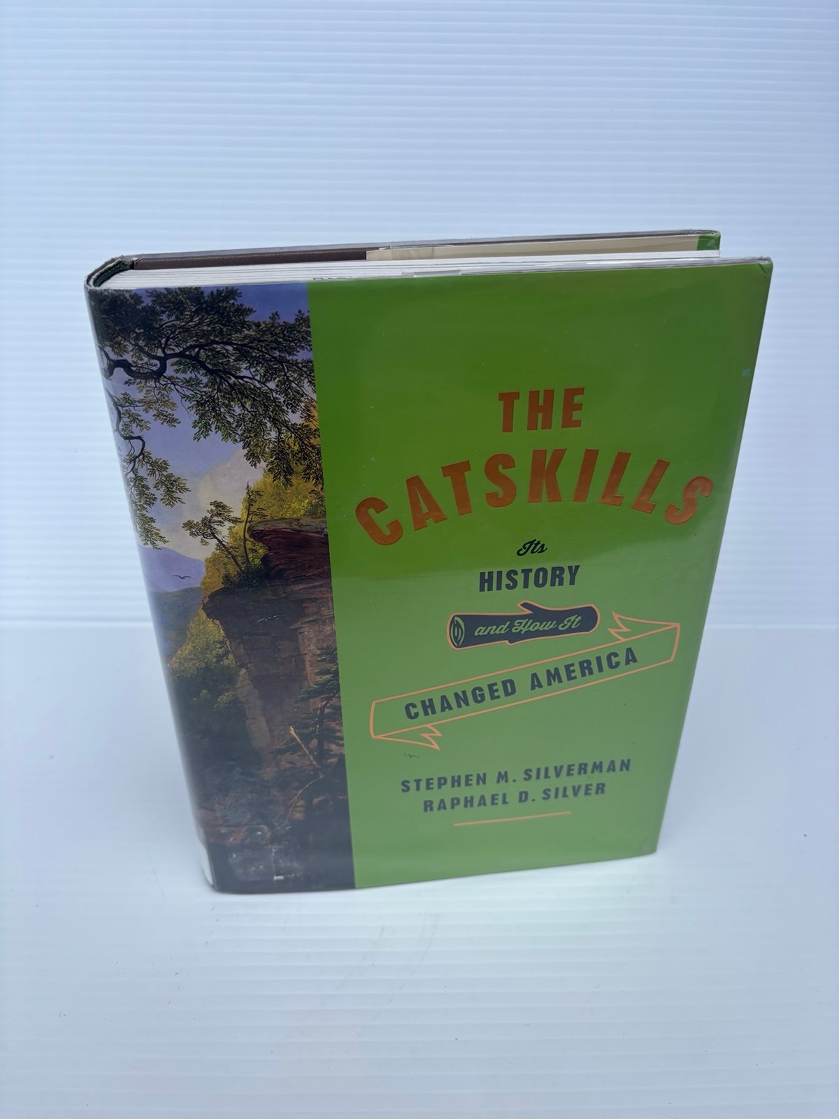 The Catskills: Its History and How It Changed America Hardcover 2015