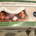 New Guardsman Mattress OR Box Spring Encasement Size Twin XL Extra Deep Allergy